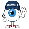 securitycctv